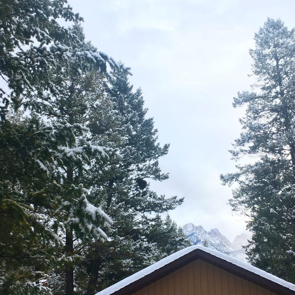 What's In Season - February Favourites | cookinginmygenes.com