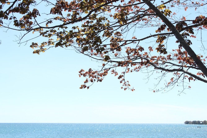 What's In Season - May Favourites from cookinginmygenes.com