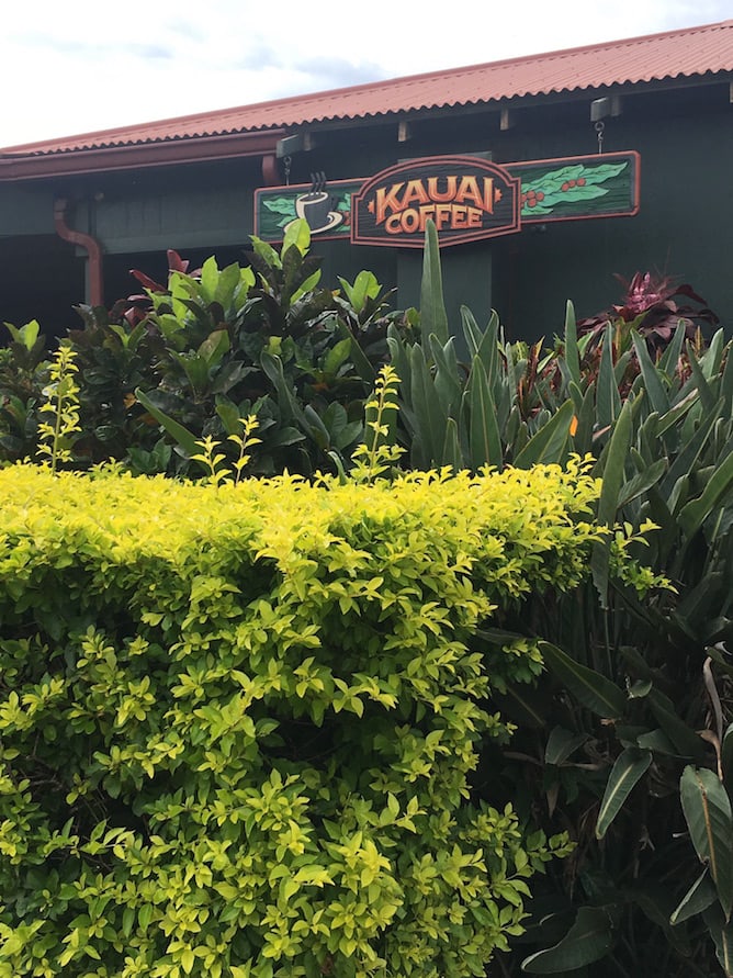 Kauai Food & Travel Diary | cookinginmygenes.com