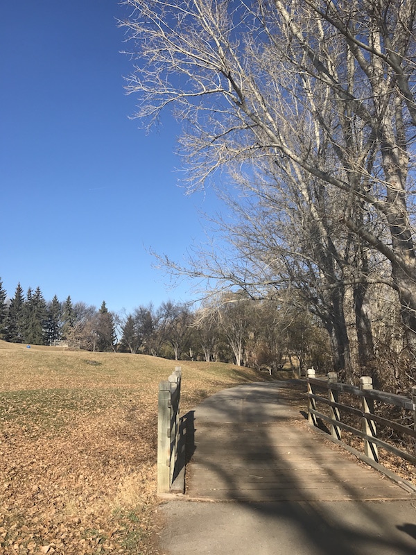 What's In Season - What to Cook in November from cookinginmygenes.com