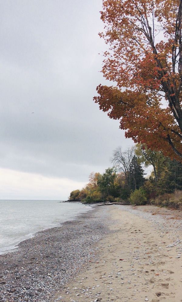 What's In Season - What to Cook in November from cookinginmygenes.com