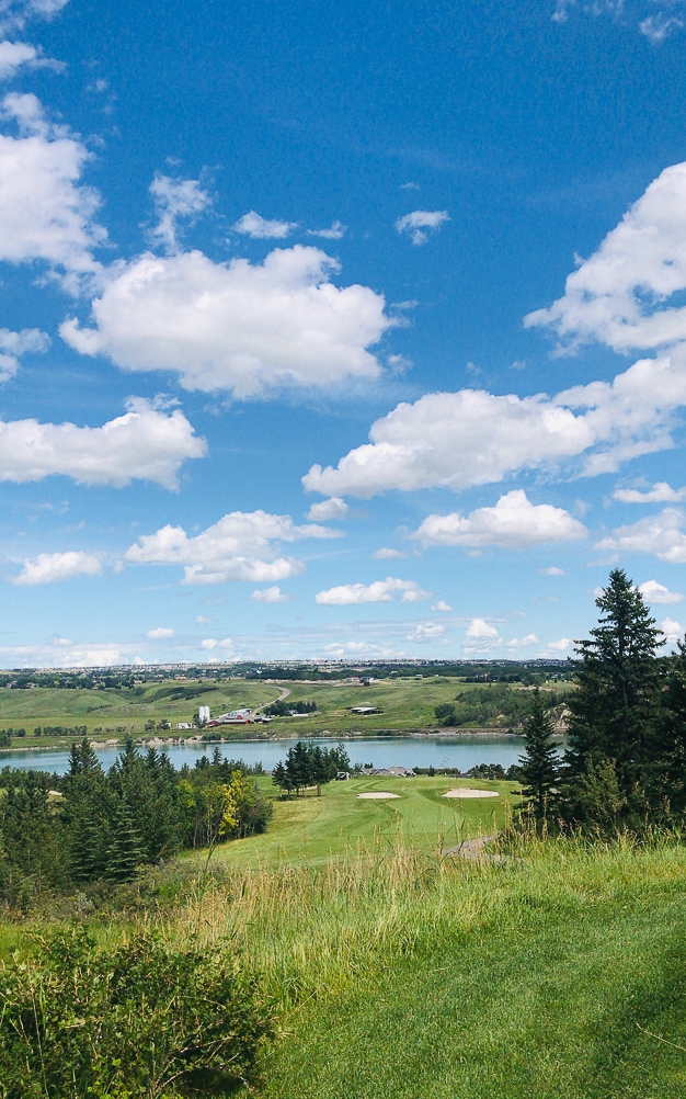 What's In Season - Recipes to Make in August | cookinginmygenes.com