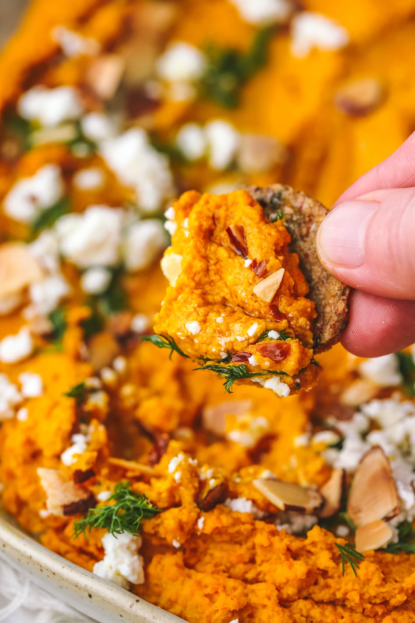 carrot hummus spread in a low bowl with toppings