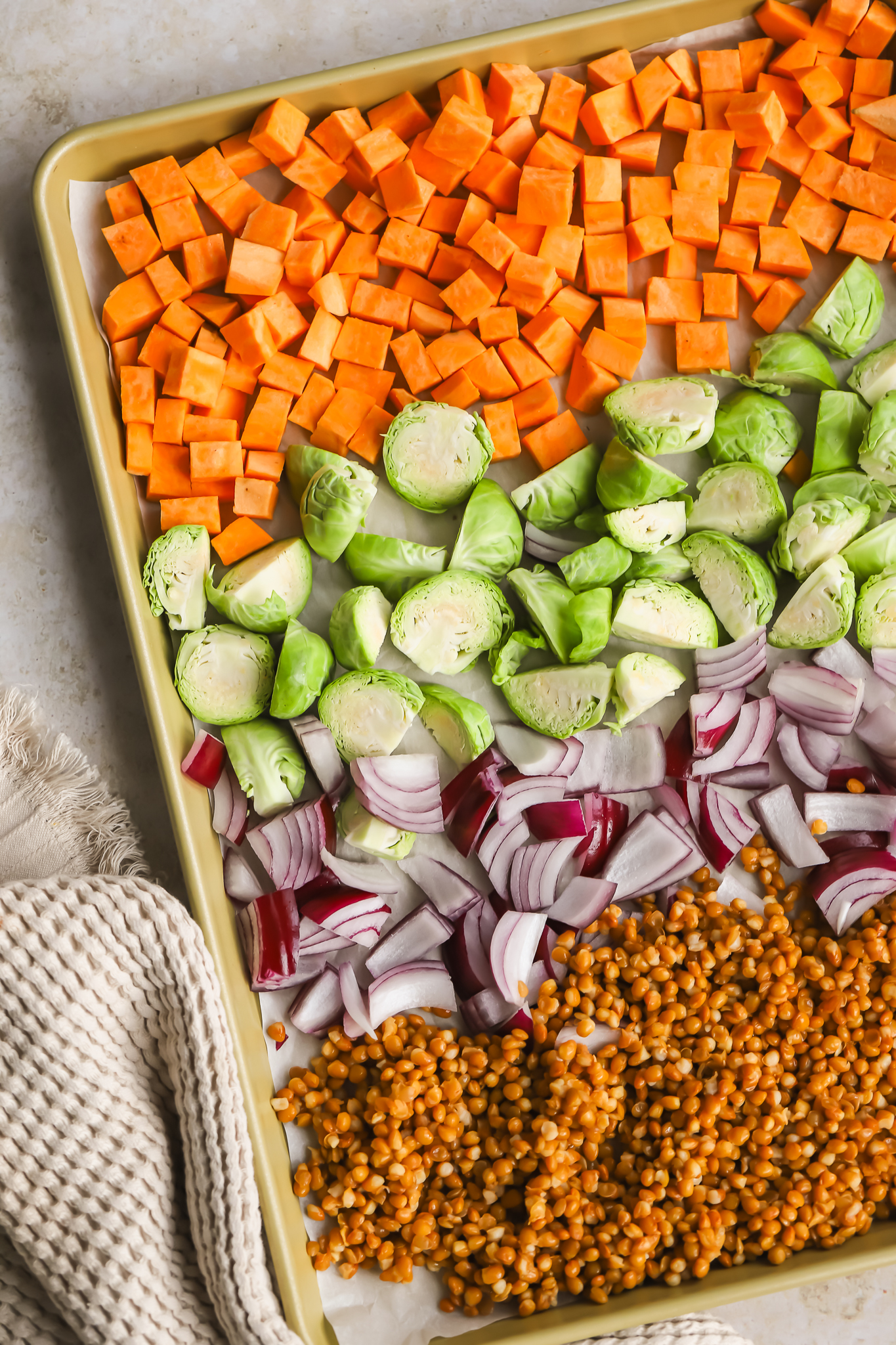 ingredients for warm lentil harvest salad on a sheet pan