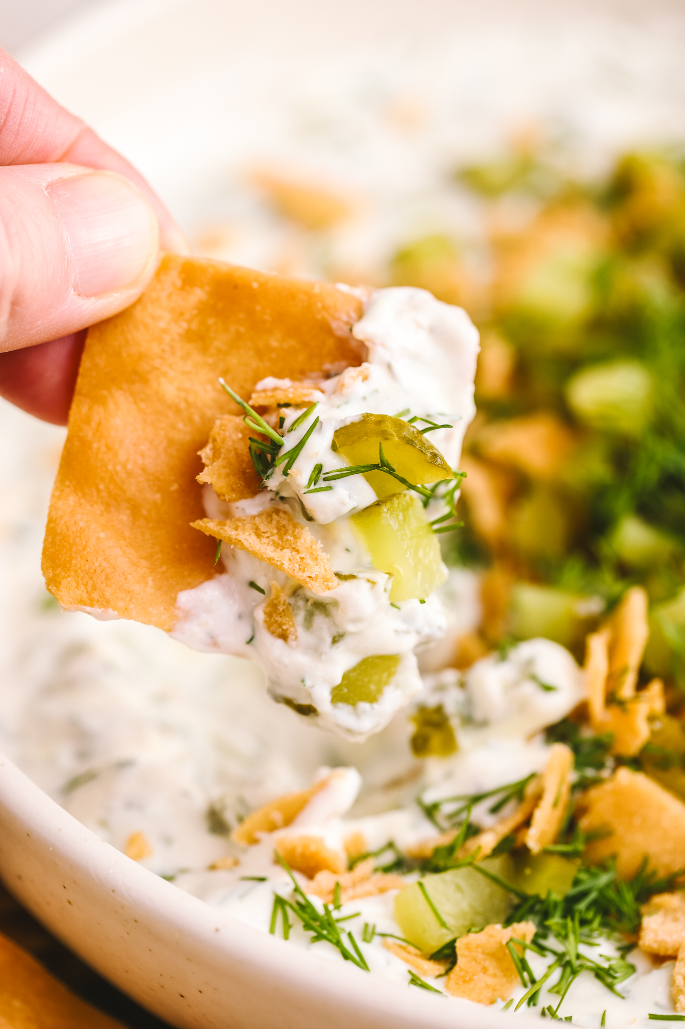 pita chip dipped into high protein dill pickle dip