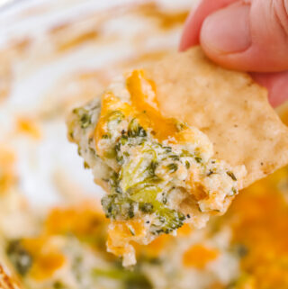 cracker dipped into broccoli cheese dip