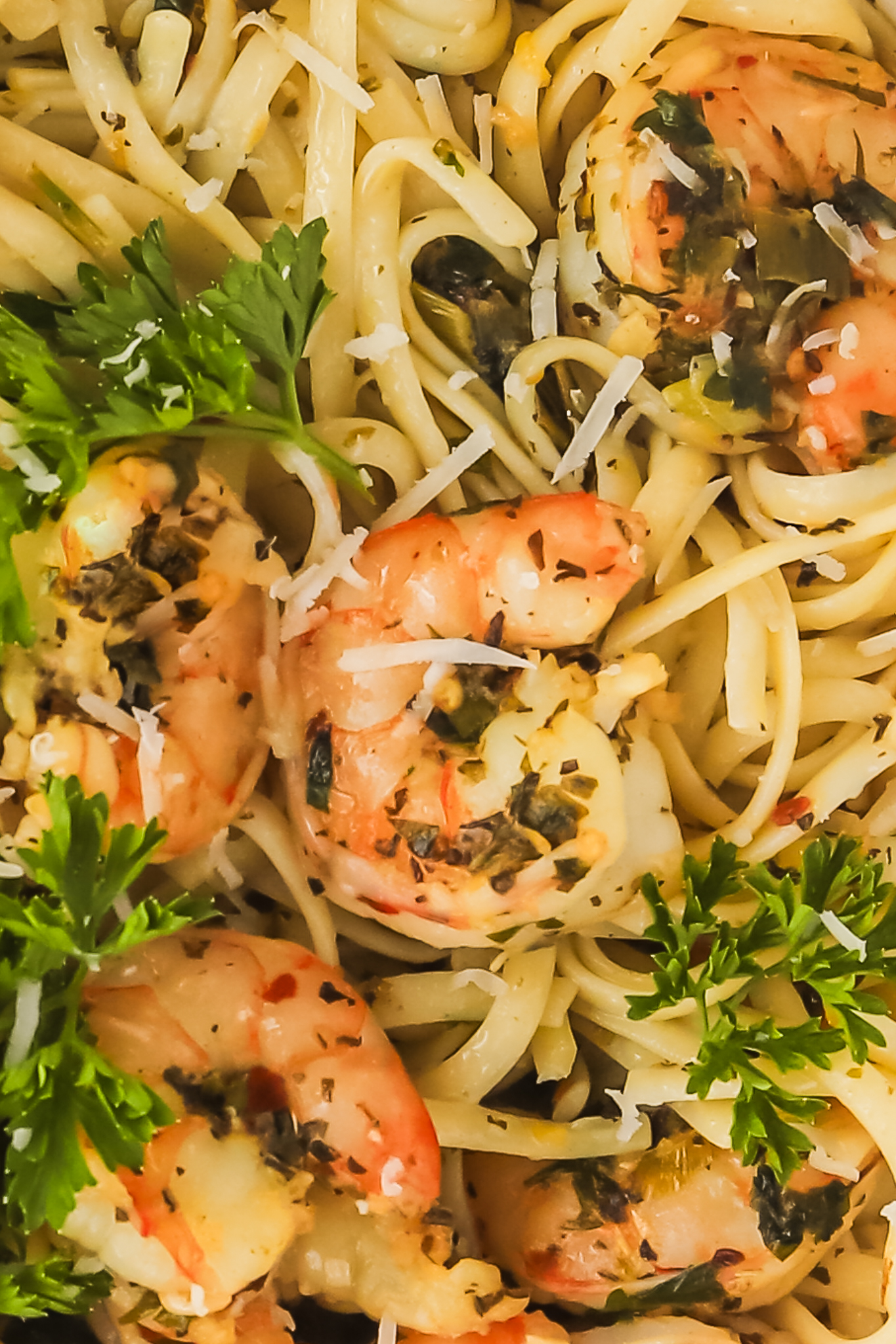 close-up of shrimp pasta