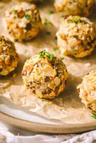 side angle caramelized onion mini cheese balls