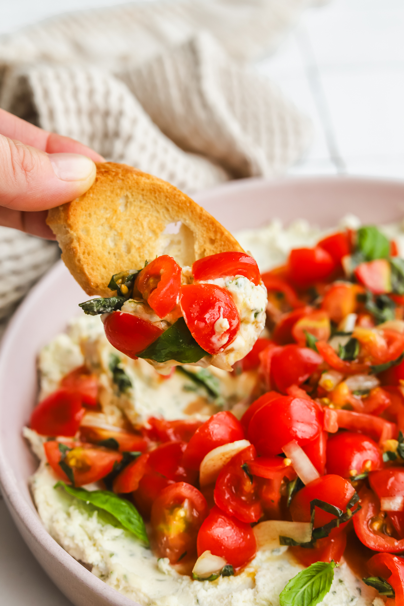 crostini dipping into boursin bruschetta dip