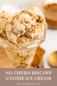 close up of biscoff ice cream